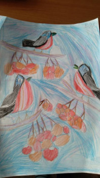 Чем сегодня занимались - 20201211_132630.jpg