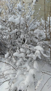 Чем сегодня занимались - 20201211_132234.jpg