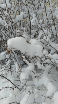 Чем сегодня занимались - 20201211_132244.jpg