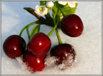 Аватарки. Наши интернет-лица-2 - 2020-12-12-20-39-40.jpg