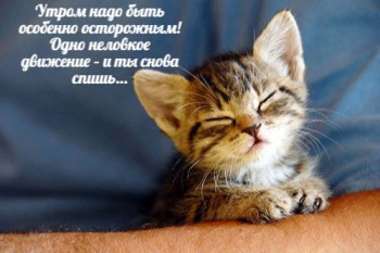 Из ВКонтактика с приветиком  - 154111917_xzmw0dwnOtc.jpg