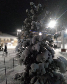 Чем сегодня занимались - 20201214_095338.jpg