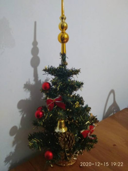 Чем сегодня занимались - IMG_20201215_192207.jpg