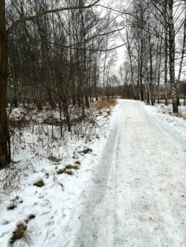 Чем сегодня занимались - IMG_20201220_161155.jpg