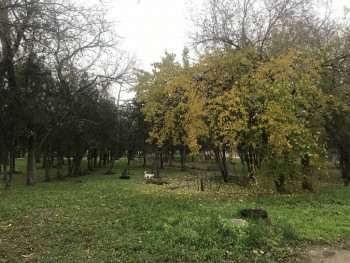 Поговорим о погоде - B5DB736D-2A38-495B-A85F-57EF41E47924.jpeg