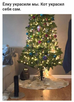 Из ВКонтактика с приветиком  - IMG_20201222_212541.jpg