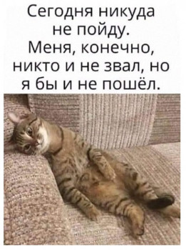 Из ВКонтактика с приветиком  - IMG_20201227_224645.jpg