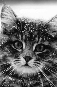 Из ВКонтактика с приветиком  - b1.jpg