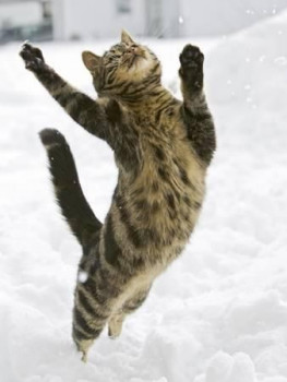 Из ВКонтактика с приветиком  - b3.jpg