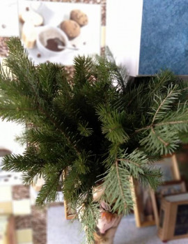 Чем сегодня занимались - 20201230_191607.jpg