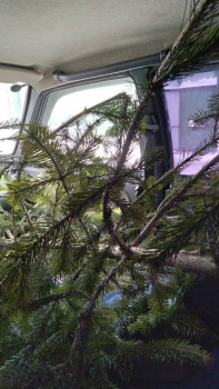 Чем сегодня занимались - 20201230_111716.jpg