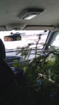 Чем сегодня занимались - 20201230_112657.jpg