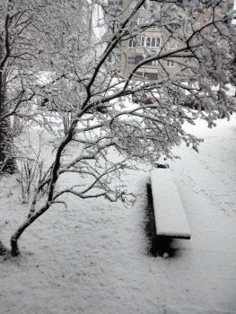 Поговорим о погоде - IMG_20210101_104110.jpg