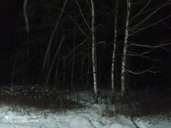 Поговорим о погоде - IMG_20210104_204947.jpg