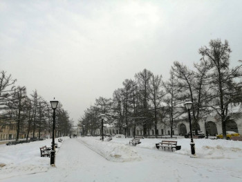 Чем сегодня занимались - IMG_20210109_141521.jpg