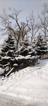 Поговорим о погоде - IMG_20210113_122810.jpg