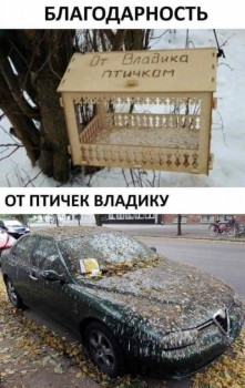 Из ВКонтактика с приветиком  - FB_IMG_1611181961373.jpg