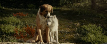 Посоветуйте кино... - the.call_.of_.the_.wild_.2020.1080p.webrip.x264.aac5_.1-yts.mx_.mp4_snapshot_01.29.57.433.jpg