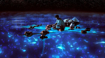 Посоветуйте кино... - life-of-pi-lop-068_rgb2__r8fhi9g.jpg