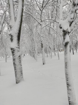 Поговорим о погоде - IMG_20210126_153321.jpg