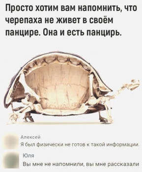 Из ВКонтактика с приветиком  - 1612035054.jpg