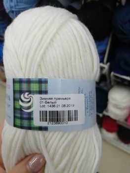 Рукодельная флудилка - IMG_20210201_133039.jpg