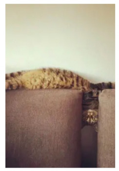 Доброго утра Хорошего дня Спокойной ночи  - IMG_20210131_154238.jpg