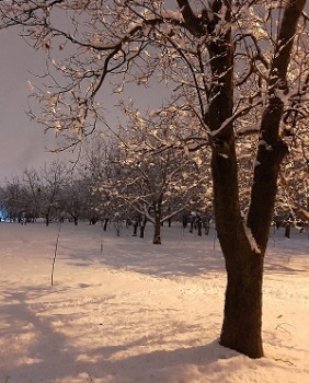 Поговорим о погоде - зима в форум.jpg