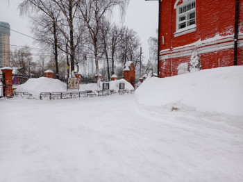 Поговорим о погоде - IMG_20210213_143235.jpg