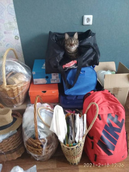 Клуб фелинологов-любителей  - IMG_20210218_123610.jpg