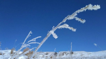 Доброго утра Хорошего дня Спокойной ночи  - 0a3fd27e1c9d0b972bdf79f22897b4b5.jpg