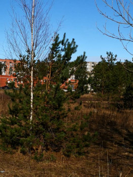 Чем сегодня занимались - IMG_20210303_113049.jpg