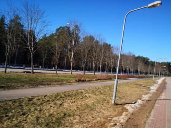 Чем сегодня занимались - IMG_20210303_113119.jpg