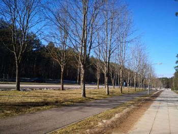 Чем сегодня занимались - IMG_20210303_115128.jpg