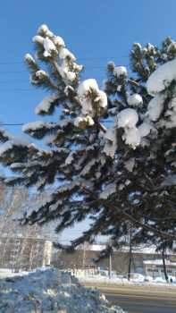 Чем сегодня занимались - 20210303_161801.jpg