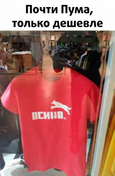 Из ВКонтактика с приветиком  - NgbguL40Y3E.jpg