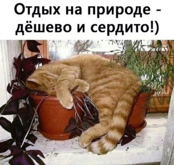 Из ВКонтактика с приветиком  - -6SSPc_qRp0.jpg