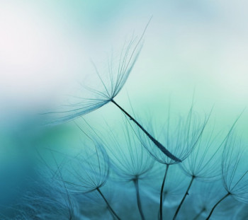 Доброго утра Хорошего дня Спокойной ночи  - 1615955283.jpg