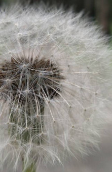 Доброго утра Хорошего дня Спокойной ночи  - 20210317_144314.jpg