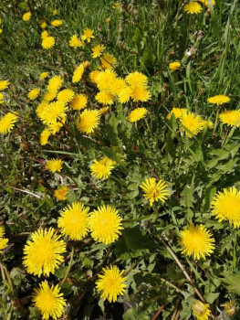 Доброго утра Хорошего дня Спокойной ночи  - IMG_20200521_121257.jpg