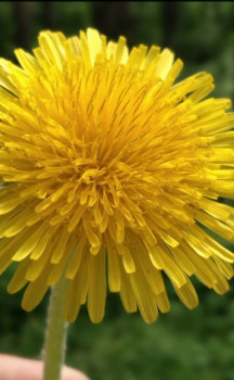 Доброго утра Хорошего дня Спокойной ночи  - 20210317_152804.jpg