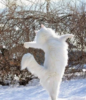 Доброго утра Хорошего дня Спокойной ночи  - IMG_20210320_110344.jpg