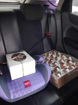 Чем сегодня занимались ваши дети? - IMG-20210323-WA0086.jpg