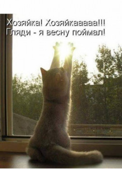 Из ВКонтактика с приветиком  - IMG_20210330_121709.jpg