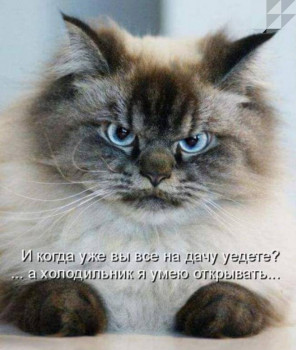 Из ВКонтактика с приветиком  - IMG_20210330_120848.jpg