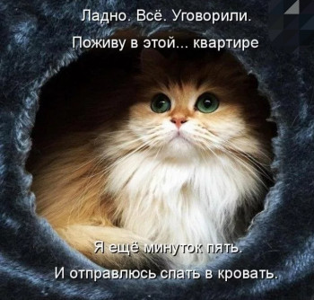 Из ВКонтактика с приветиком  - IMG_20210330_120803.jpg