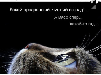 Из ВКонтактика с приветиком  - IMG_20210330_120608.jpg