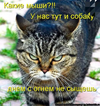 Из ВКонтактика с приветиком  - IMG_20210330_120252.jpg