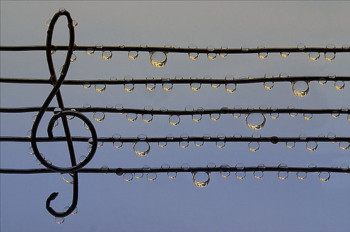 Доброго утра Хорошего дня Спокойной ночи  - jCa8q0X5MJA.jpg