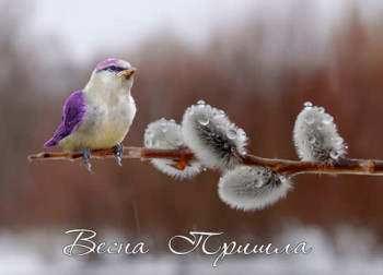 Доброго утра Хорошего дня Спокойной ночи  - unnamed (1).jpg